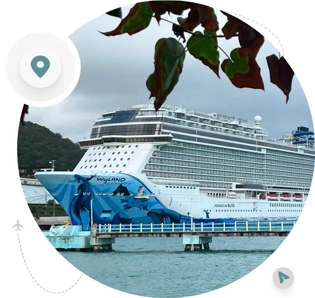 Large cruise liner under cloudy skies
